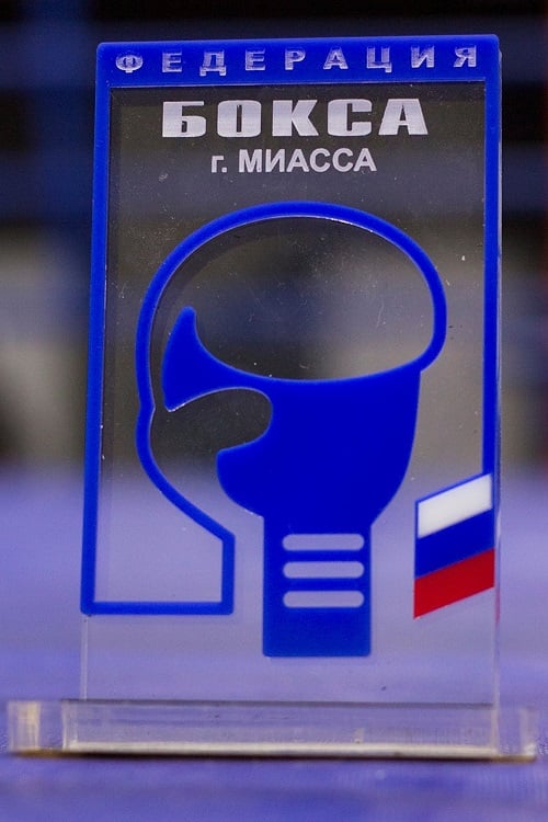 В Миассе состоялось первенство Челябинской области по боксу