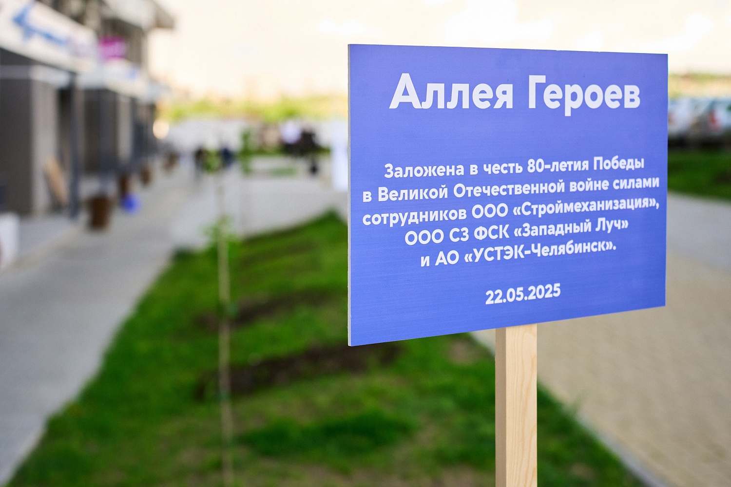 Федерация бокса Челябинской области приняла участие в высадке Аллеи Героев